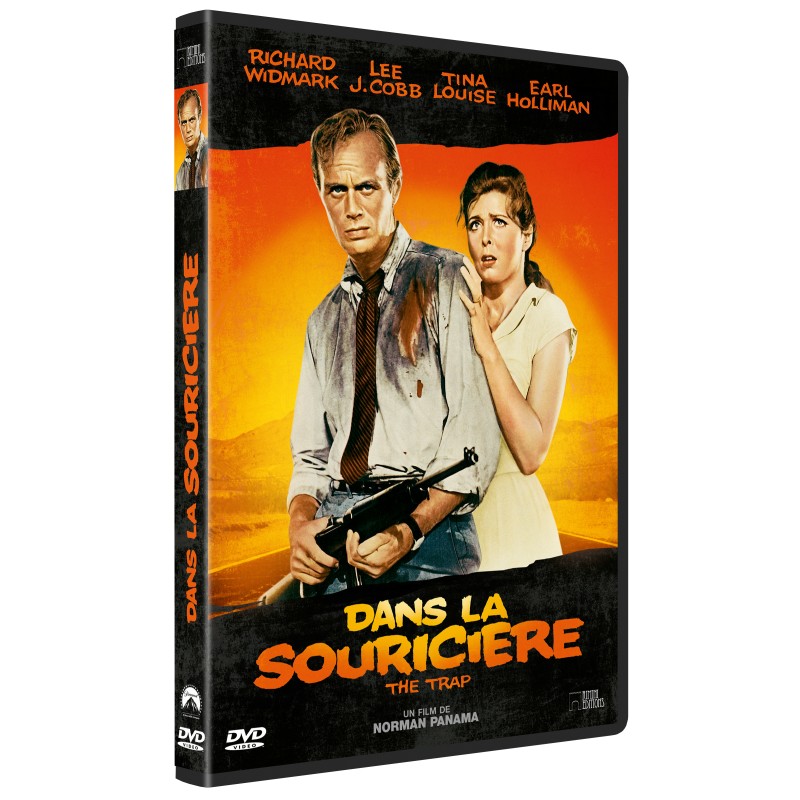 DANS LA SOURICIÈRE - DVD