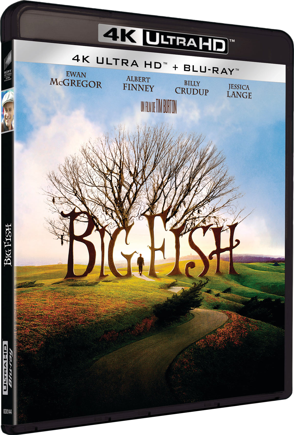 BIG FISH